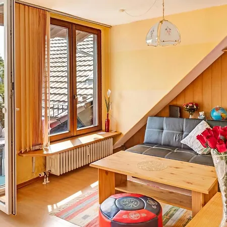 Reichenaublick Apartment