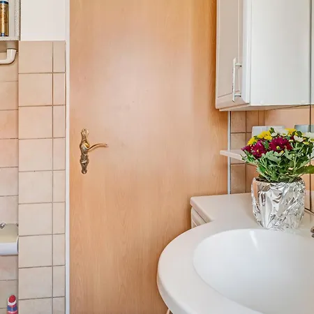 Apartamento Reichenaublick *